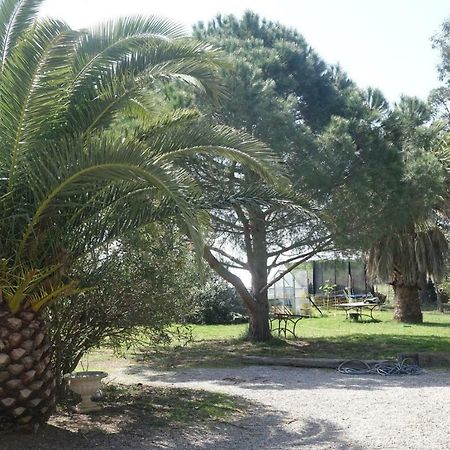 Villa Mas du Roc à Saint-Nazaire  Extérieur photo